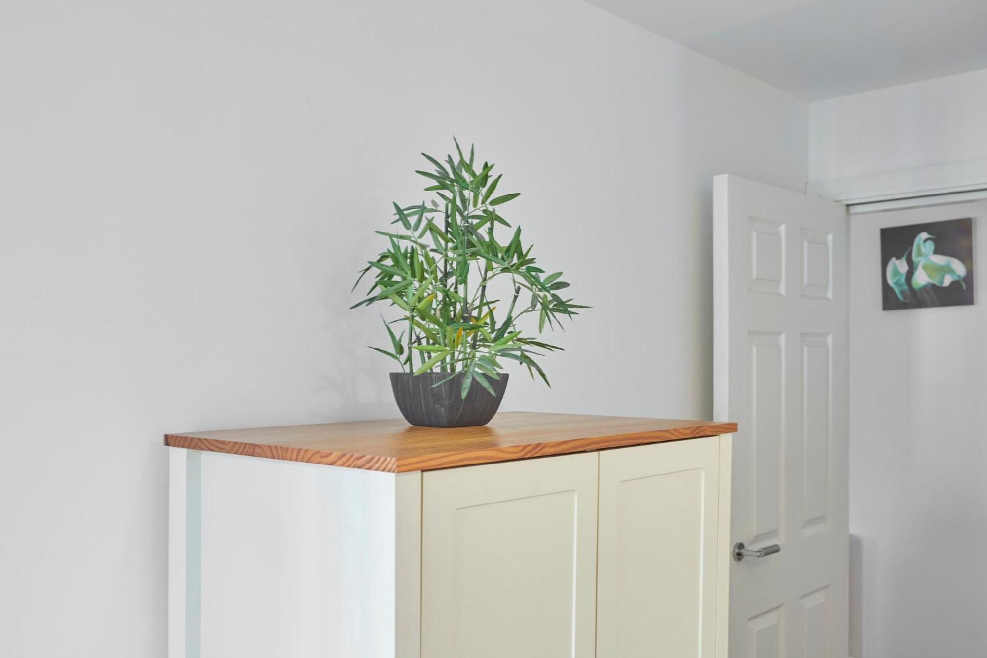 Driftwood Apt 7 Skinningrove Esterno foto
